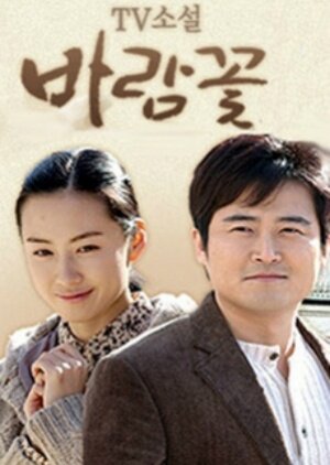 TV Novel: Wind Flower海报